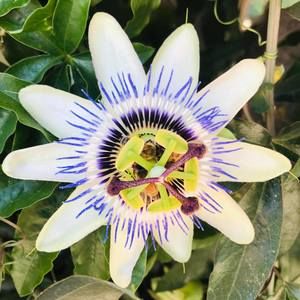 Meet your Posher, Kari